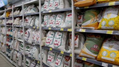 کاهش ۸۳۰ میلیون دلاری ارزبری برنج 6 | نقش نیوز برنج ایرانی ۹ درصد ارزان شد