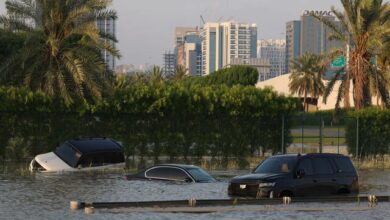 بارورسازی ابرها عامل وقوع سیل در دبی است؟ 6 | نقش نیوز نگرانی در مورد سیل ناگهانی با بارورسازی ابرها