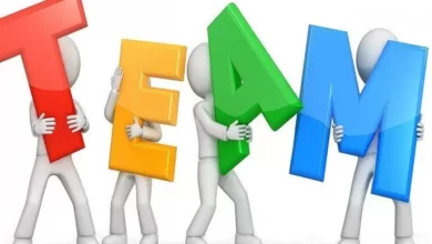 ارتباط  شکست استارتاپها با  تیمسازی 5 | نقش نیوز اصول تیم سازی در استارتاپ ها
