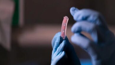 ساخت انگشت مصنوعی انعطاف پذیر