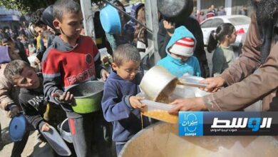 هشدار فائو نسبت به وخامت اوضاع امنیت غذایی در نوار غزه