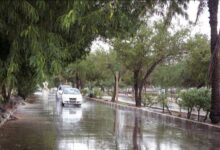 ورود سامانه بارشی به کشور در اوایل هفته آینده 46 | نقش نیوز کاهش دما در نقاط مختلف