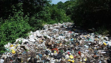 فاجعه زیست‌محیطی در طبیعت گیلان !