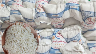 نیازی به واردات برنج نداریم