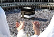 تازه‌ترین تصمیم درباره چگونگی انتقال زائران ایرانی از عربستان