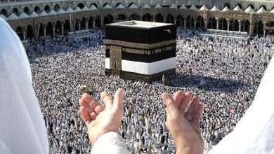 تازهترین تصمیم در باره چگونگی انتقال زائران ایرانی از عربستان 9 | نقش نیوز تازهترین تصمیم درباره چگونگی انتقال زائران ایرانی از عربستان