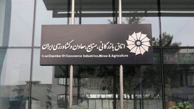 رئیس اتاق ایران: بخش خصوصی باید تقویت شود