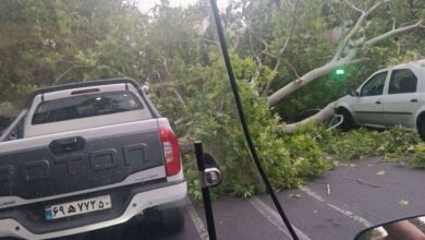 توفان و سیلاب در راه پایتخت؛ مدیریت بحران هشدار داد 5 | نقش نیوز توفان و سیلاب در راه پایتخت؛ مدیریت بحران هشدار داد