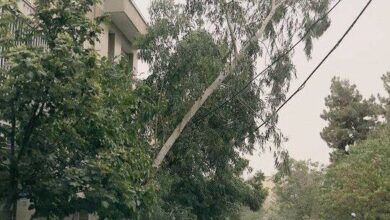 طوفان در راه تهران 7 | نقش نیوز طوفان در راه تهران