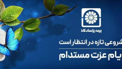 ورود دولت به بیمه عمر با داعیه داری بیمه پاسارگاد 5 | نقش نیوز ورود دولت به بیمه عمر با داعیه داری بیمه پاسارگاد