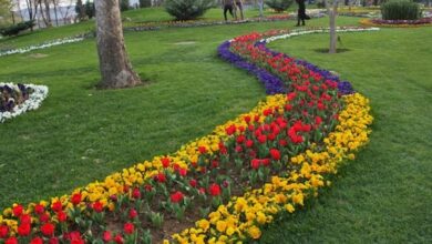 نقش فضای سبز در ارتقای رفاه شهروندان
