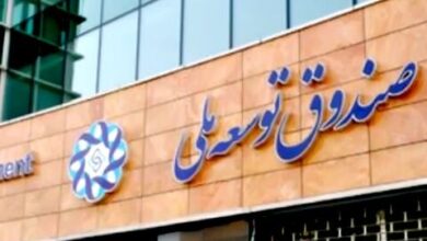 واریز مبالغی از صندوق توسعه ملی به بورس، مُسکنی موقت 5 | نقش نیوز واریز مبالغی از صندوق توسعه ملی به بورس، مُسکنی موقت