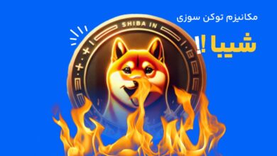 مکانیزم توکن سوزی شیبا و تأثیر آن بر قیمت SHIB 7 | نقش نیوز مکانیزم توکن سوزی شیبا و تأثیر آن بر قیمت SHIB