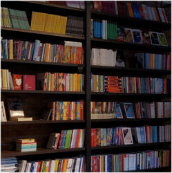 چاپ کتاب به صورت شخصی: تحقق رویای نویسندگی 2 | نقش نیوز 1000 1 | نقش نیوز