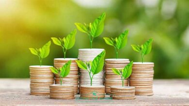 تحلیل نقش سرمایه گذاری در آموزش 8 | نقش نیوز سرمایهگذاری در آموزش ضرورتی استراتژیک