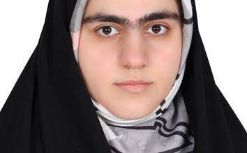 از ظهور تا پیشتازی، درس هایی از چین در توسعه صادرات فناوری های پیشرفته 6 | نقش نیوز از ظهور تا پیشتازی، درس هایی از چین در توسعه صادرات فناوری های پیشرفته