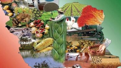 تغییرات اقلیمی از بزرگ ترین چالشهای پیش روی امنیت غذایی 4 | نقش نیوز لزوم هم افزایی فناورانه برای تضمین امنیت غذایی کشور