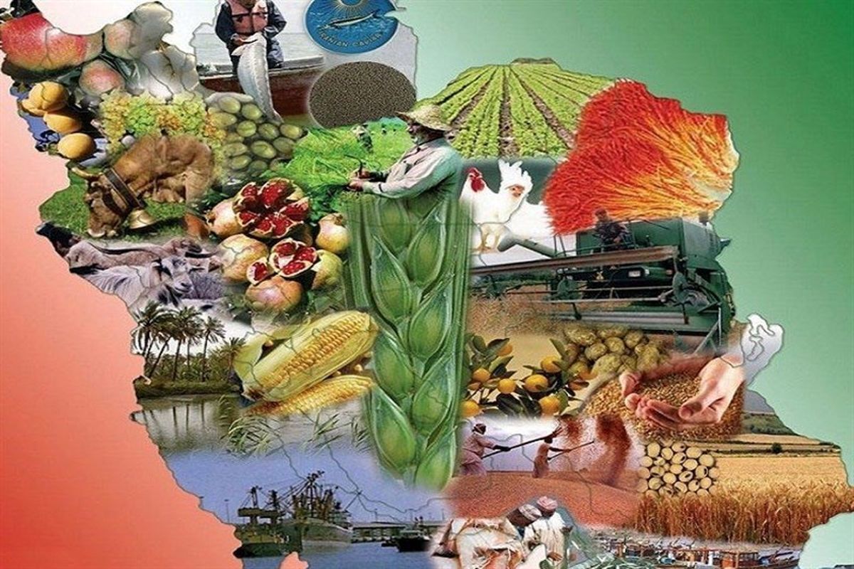 تغییرات اقلیمی از بزرگ ترین چالشهای پیش روی امنیت غذایی 1 | نقش نیوز لزوم هم افزایی فناورانه برای تضمین امنیت غذایی کشور