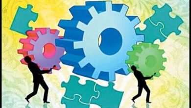 کارآفرینان ؛ قلب تپنده ی یک جامعه 7 | نقش نیوز ضرورت تلفیق دانش آکادمیک با مهارت های کارآفرینی