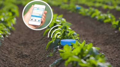 کشاورزی هوشمند ؛ راهکاری برای افزایش بهرهوری 10 | نقش نیوز ابزارهای کلیدی در کشاورزی هوشمند