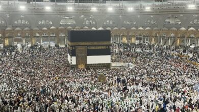 اولویت جدید حج اعلام شد 4 | نقش نیوز رئیس سازمان حج: ثبتنام عمره تا چند روز آینده آغاز میشود