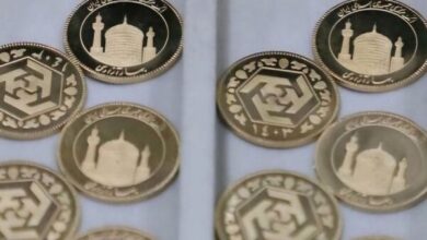پیش فروش یک میلیون سکه به کنترل بازار ارز کمک می‌کند