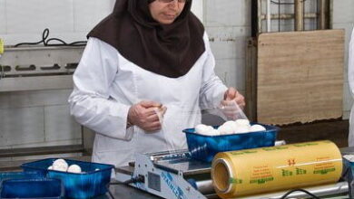 مشارکت زنان از شاخص‌های مهم توسعه‌یافتگی