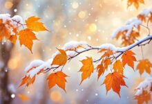 ورود سامانه بارشی از دوشنبه؛ باران و برف در نقاط مختلف کشور 3 | نقش نیوز ورود سامانه بارشی از دوشنبه؛ باران و برف در نقاط مختلف کشور