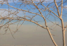 خسارت ۱۷ میلیارد دلاری آلودگی به کشور