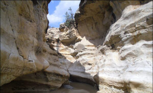 مهمترین جاذبه های گردشگری ایلام کدام است؟ 4 | نقش نیوز 888 | نقش نیوز