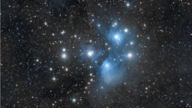 بزرگترین ساختار جهان کشف شد 5 | نقش نیوز بزرگترین ساختار جهان کشف شد