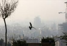 تداوم آموزش مجازی دانشگاه‌ها و مدارس استان تهران برای سه‌شنبه