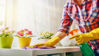 استقبال از نوروز با خانهتکانی سبز   6 | نقش نیوز راهکارهایی برای داشتن یک خانهتکانی سبز