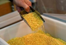 طلای جهانی دنده عقب زد