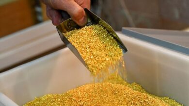 طلای جهانی در مسیر صعود ماند