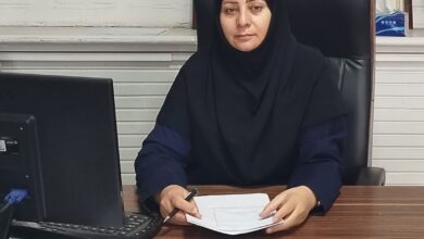 تاثیر کسب و کار خانگی در اقتصاد مردمی