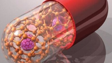 تشخیص سرطان با نانوداروی ایرانی «تیلمانوسپت» 4 | نقش نیوز تشخیص سرطان با نانوداروی ایرانی «تیلمانوسپت»