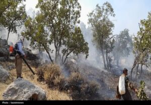  بی رحمی شعله‌های آتش در خامی 