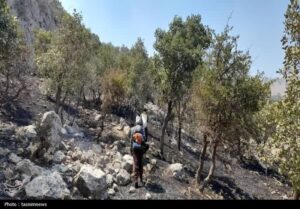  بی رحمی شعله‌های آتش در خامی 