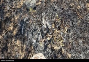  بی رحمی شعله‌های آتش در خامی 