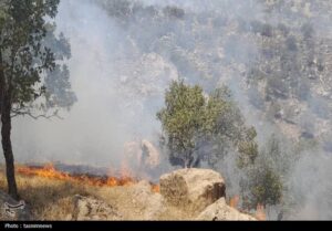  بی رحمی شعله‌های آتش در خامی 