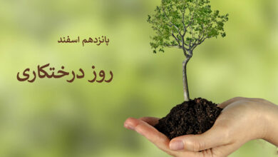 موشن گرافی هر درخت، نفس زندگی‌ست