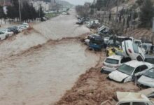 آموزش ، مهم ترین راه کاهش آسیب بلایای طبیعی