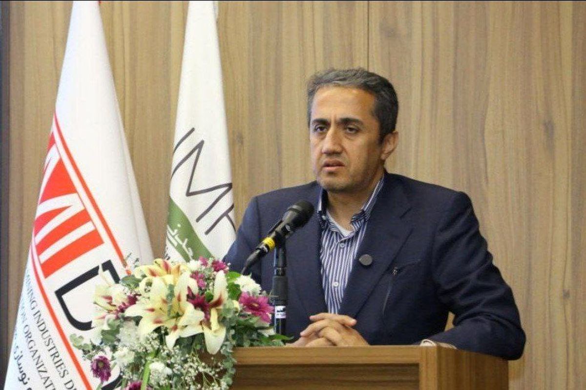 رئیس هیات عامل ایمیدرو: ایران و افغانستان مکمل یکدیگر در توسعه ظرفیت های معدنی هستند 1 | نقش نیوز رئیس هیات عامل ایمیدرو: ایران و افغانستان مکمل یکدیگر در توسعه ظرفیت های معدنی هستند