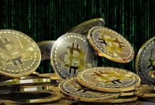 بیت‌کوین به جهش گربه مرده رسید؟