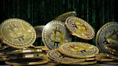 آخرین وضعیت بازار رمزارزها در جهان 4 | نقش نیوز بیتکوین به جهش گربه مرده رسید؟