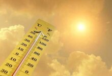 افزایش نسبی دما با آغاز هفته آینده
