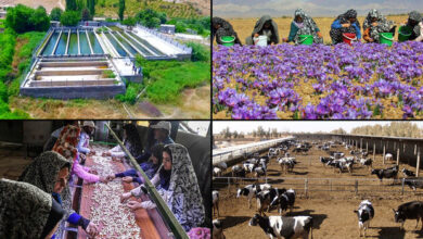 نقش کارآفرینی روستایی در توسعه اقتصادی روستاها 7 | نقش نیوز مهم ترین دلایل توجه به کارآفرینی روستایی