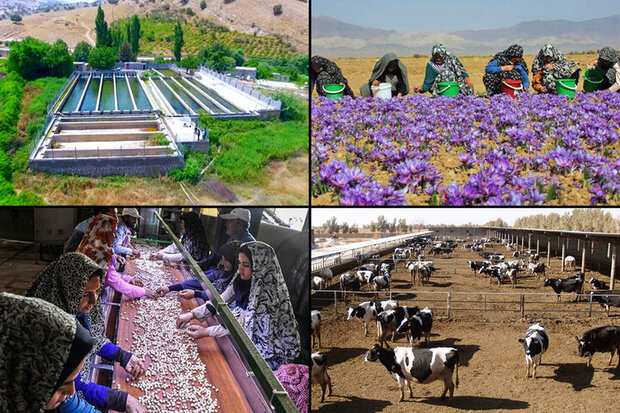 نقش کارآفرینی روستایی در توسعه اقتصادی روستاها 1 | نقش نیوز مهم ترین دلایل توجه به کارآفرینی روستایی