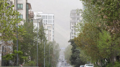 اینجا آسمان خاکیست 7 | نقش نیوز اینجا آسمان خاکیست